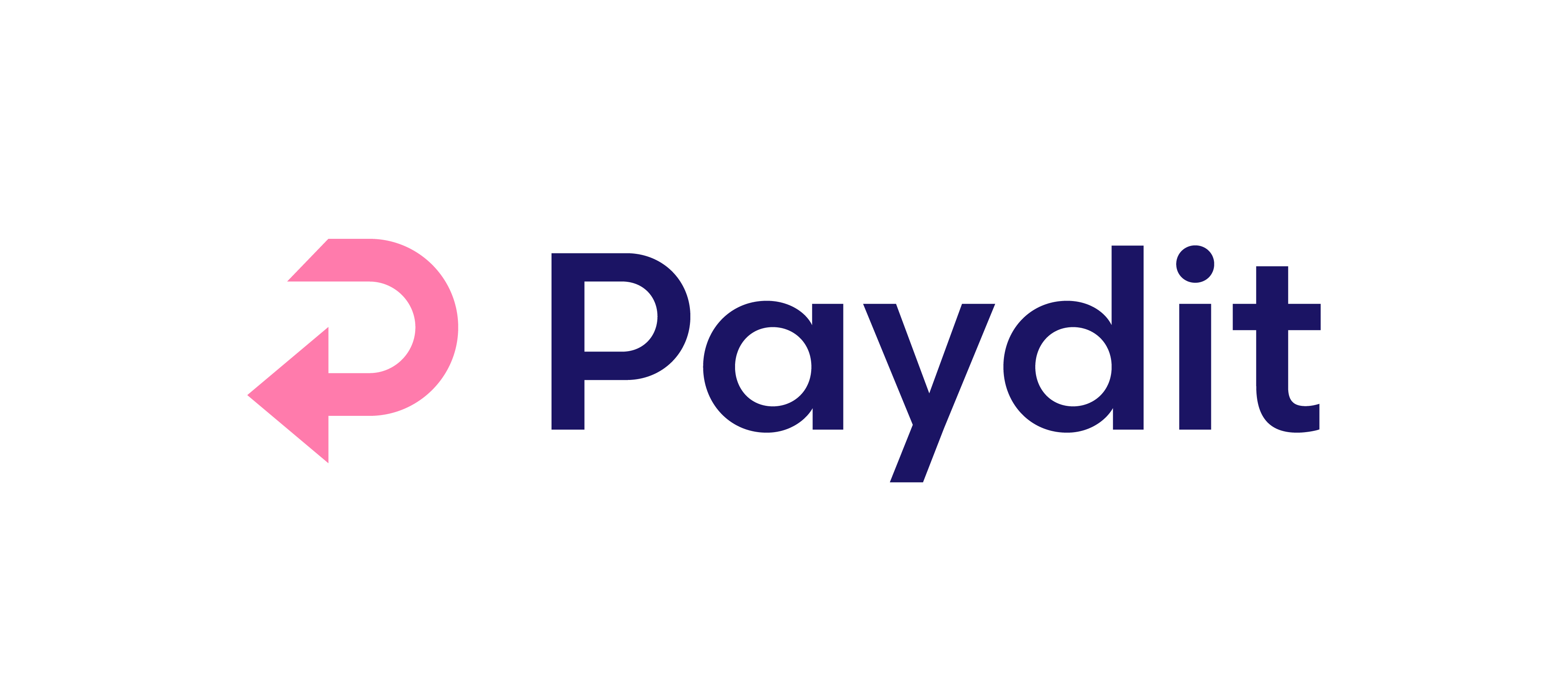 Paydit Brand files Logo on white BG